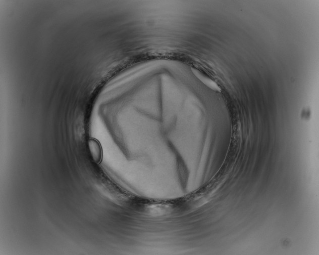 X0000100950508200807221124