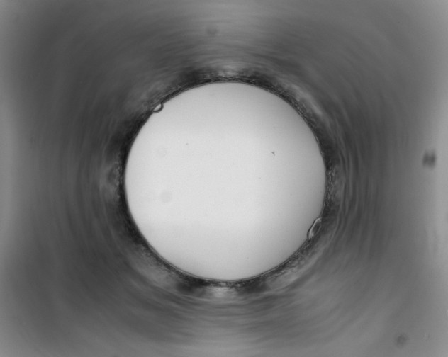 X0000100950509200807221124