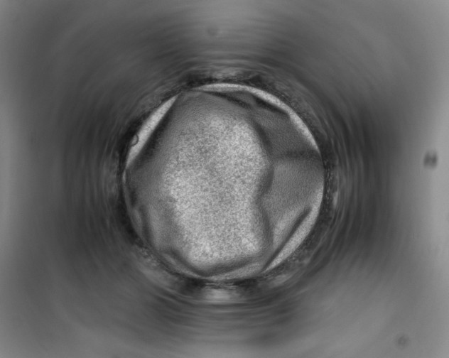 X0000100950510200807221124