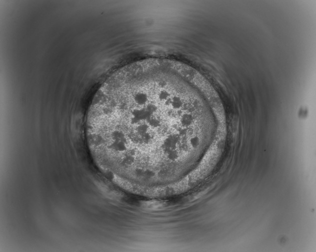 X0000100950511200807221124