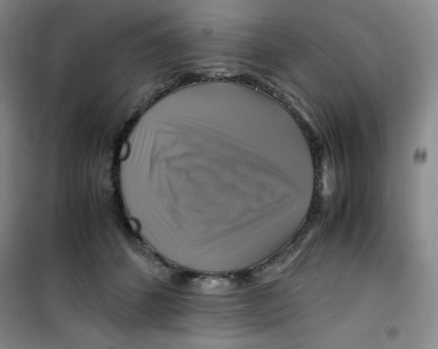 X0000100950512200807221124