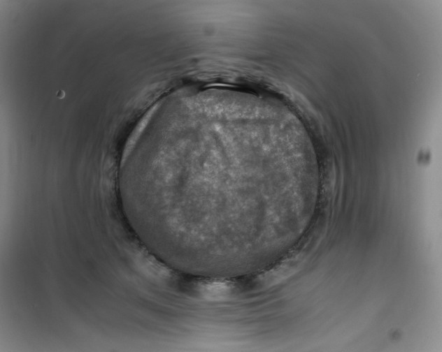 X0000100950513200807221124