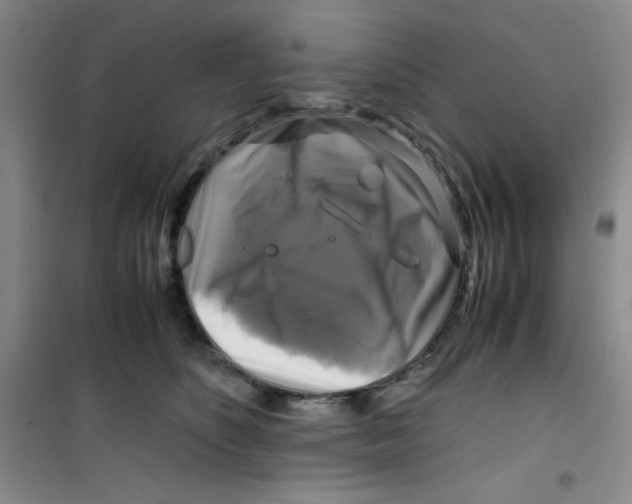 X0000100950516200807221124