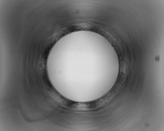 X0000100950518200807221124