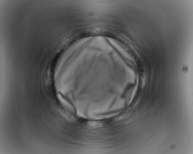 X0000100950520200807221124