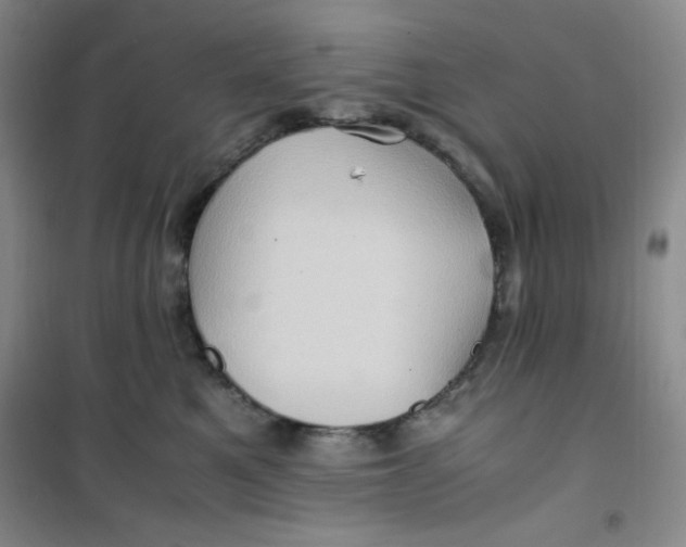 X0000100950521200807221124