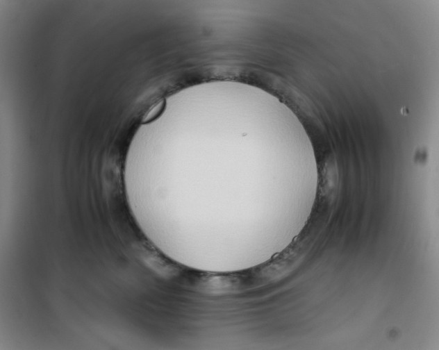 X0000100950522200807221124