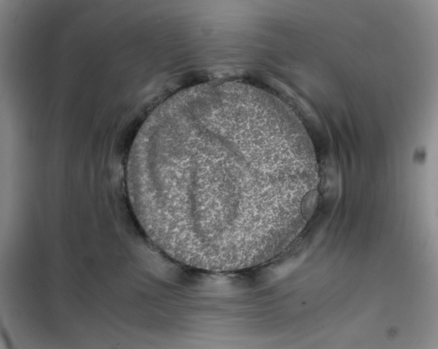 X0000100950523200807221124