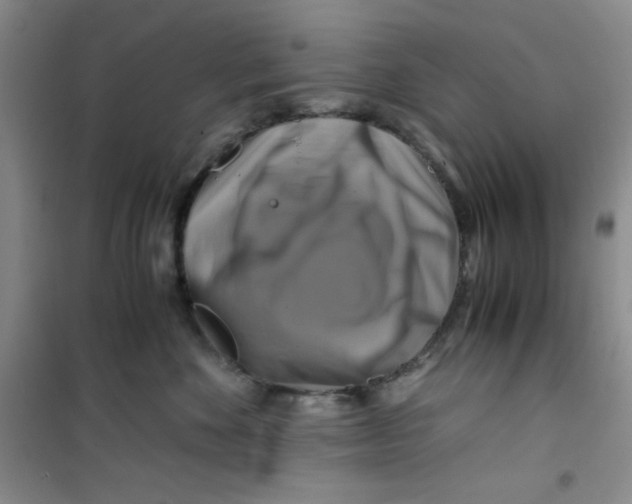 X0000100950524200807221124