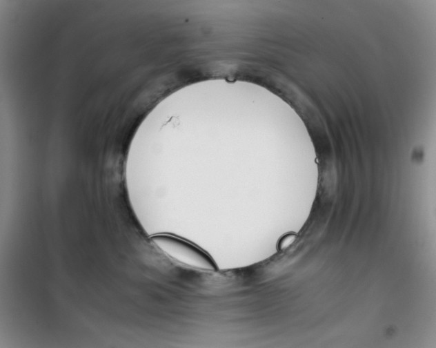 X0000100950525200807221124