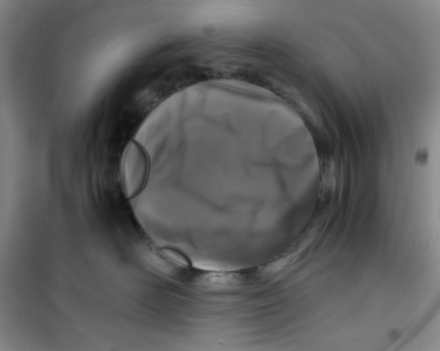 X0000100950526200807221124