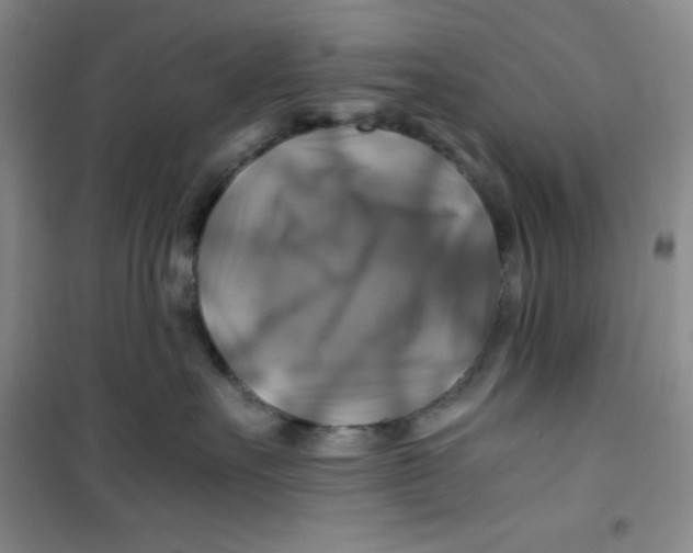 X0000100950527200807221124