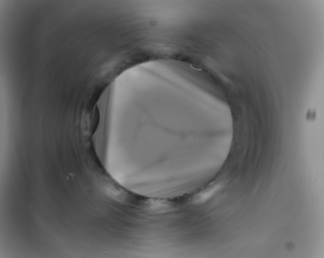 X0000100950528200807221124