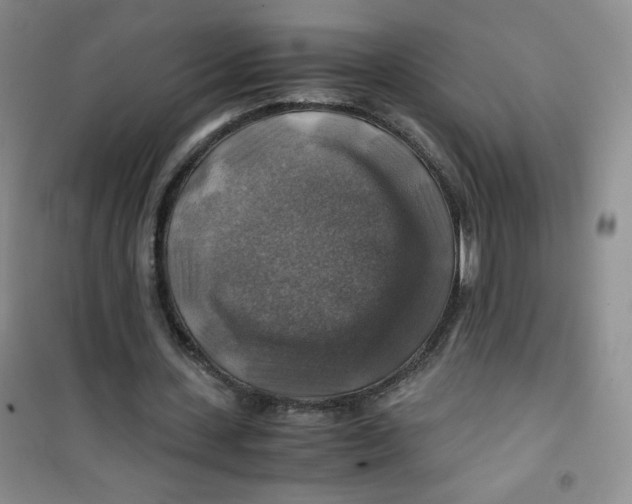 X0000100950531200807221123