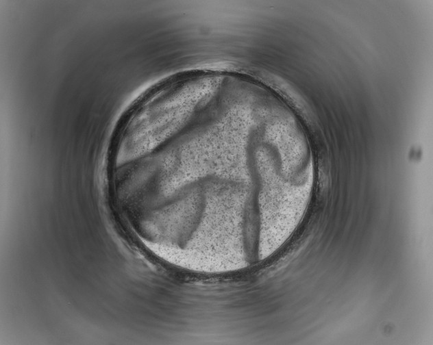 X0000100950532200807221123