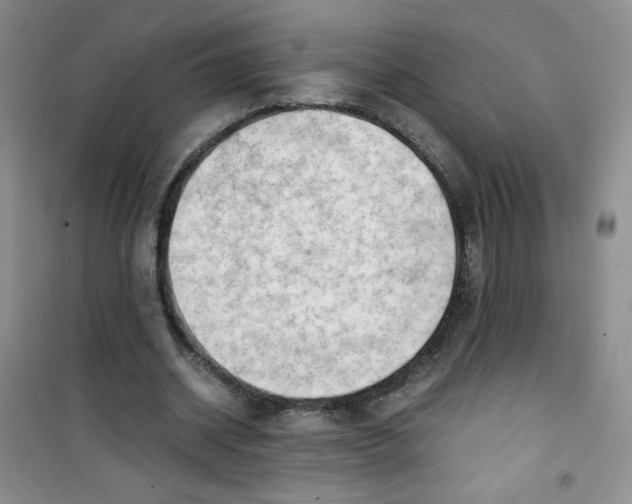 X0000100950534200807221123