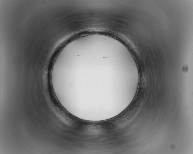 X0000100950535200807221123