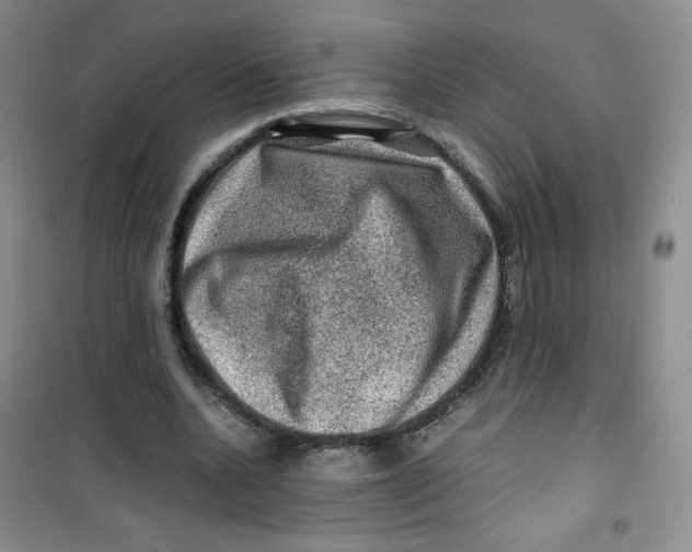 X0000100950536200807221123