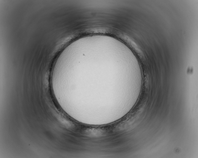 X0000100950537200807221123