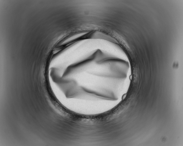 X0000100950538200807221123