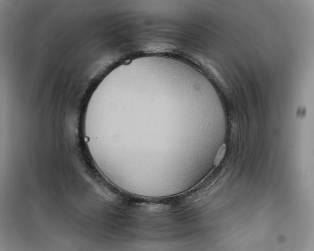 X0000100950539200807221123