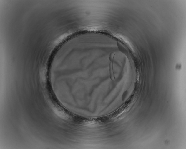 X0000100950540200807221123