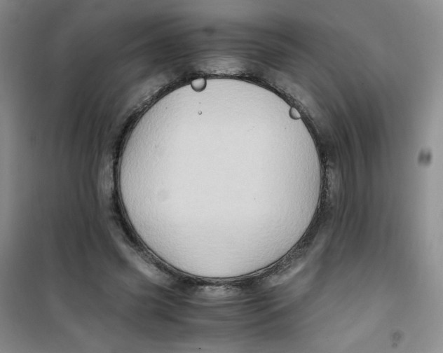 X0000100950541200807221123