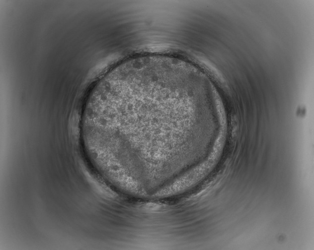 X0000100950542200807221123