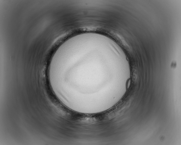 X0000100950543200807221123