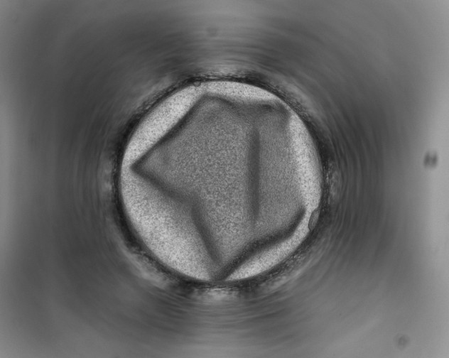 X0000100950546200807221123