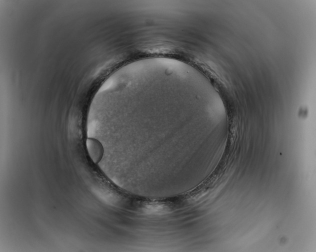 X0000100950547200807221123