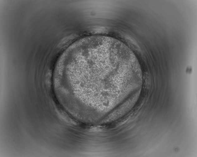 X0000100950550200807221123