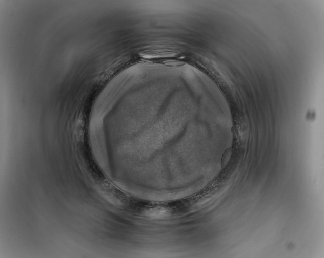 X0000100950551200807221123