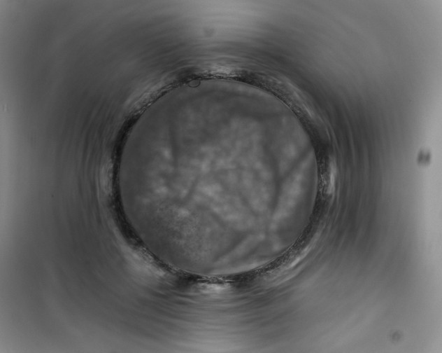 X0000100950552200807221123