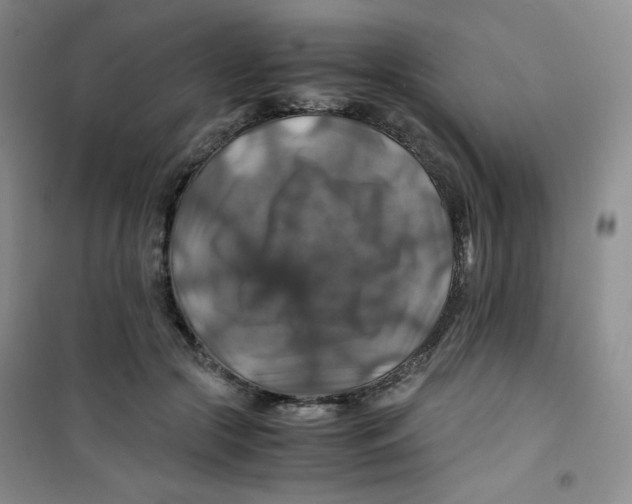 X0000100950553200807221123