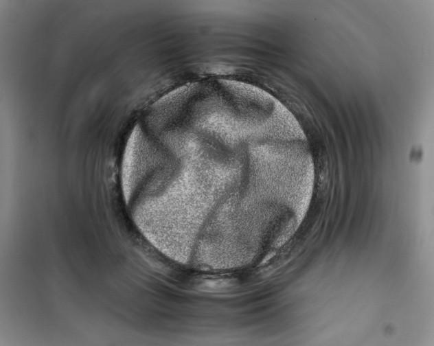 X0000100950555200807221123