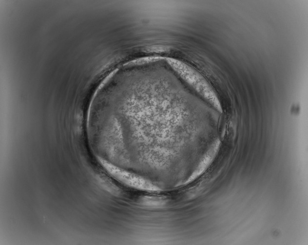 X0000100950556200807221124