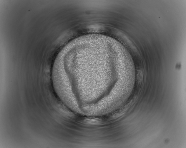 X0000100950557200807221124