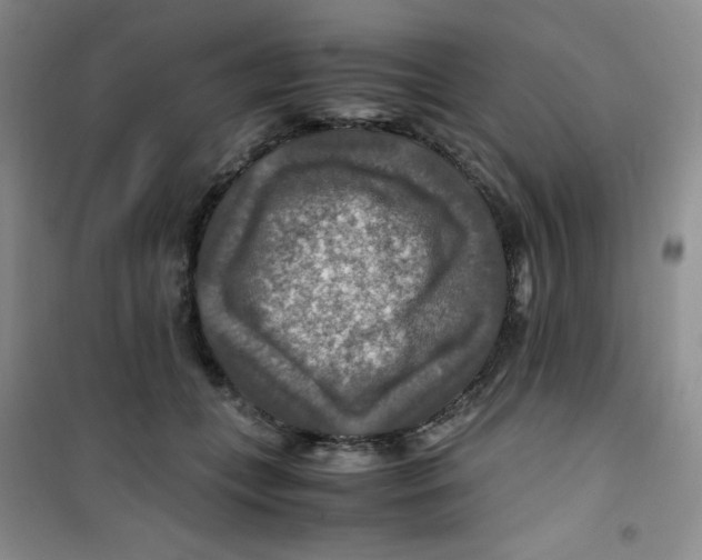 X0000100950559200807221124