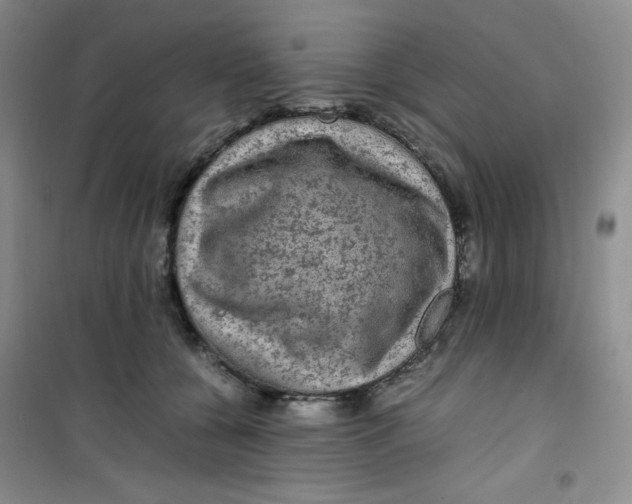 X0000100950560200807221124