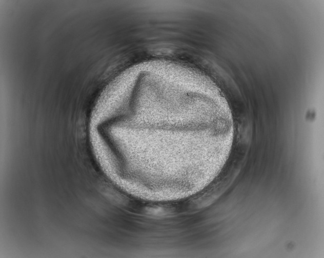 X0000100950561200807221124