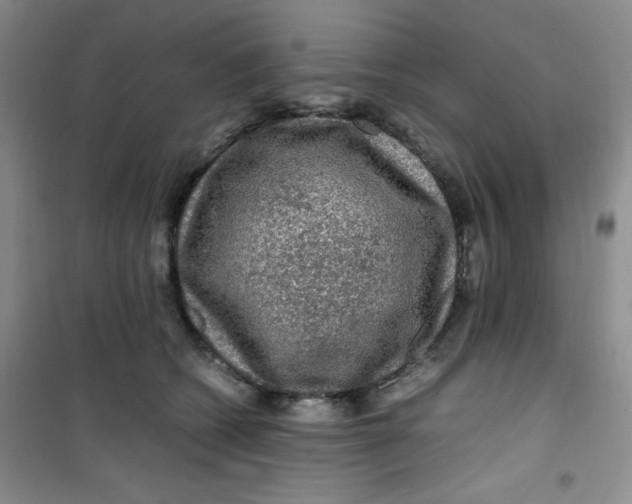 X0000100950562200807221124