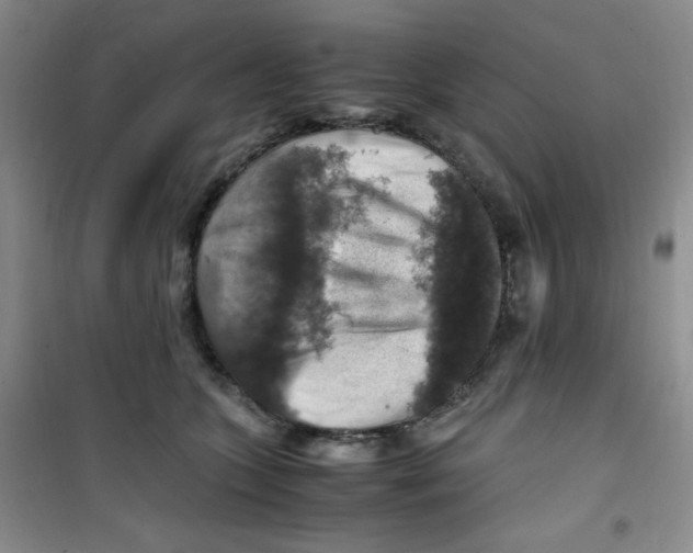 X0000100950563200807221124