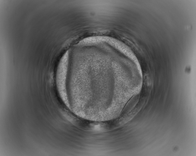 X0000100950564200807221124