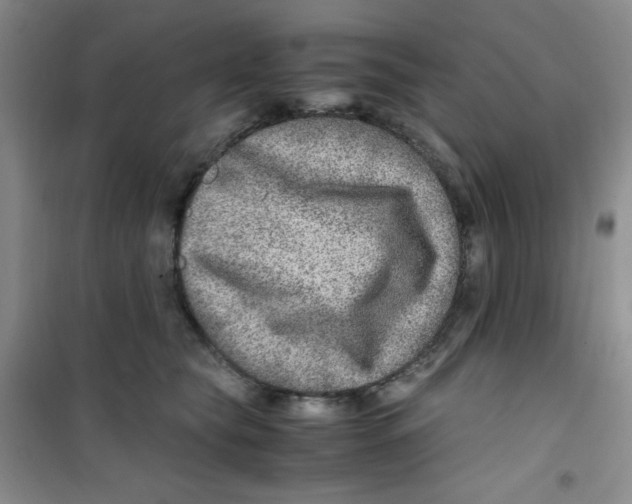 X0000100950565200807221124