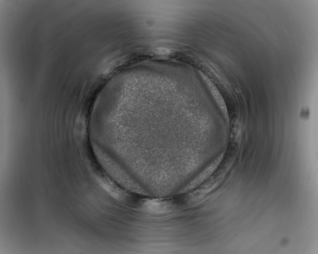 X0000100950568200807221124