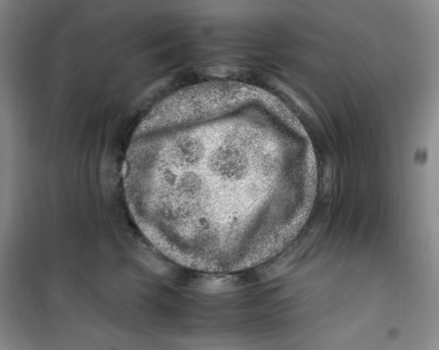 X0000100950569200807221124