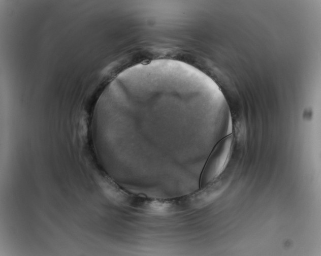 X0000100950570200807221124