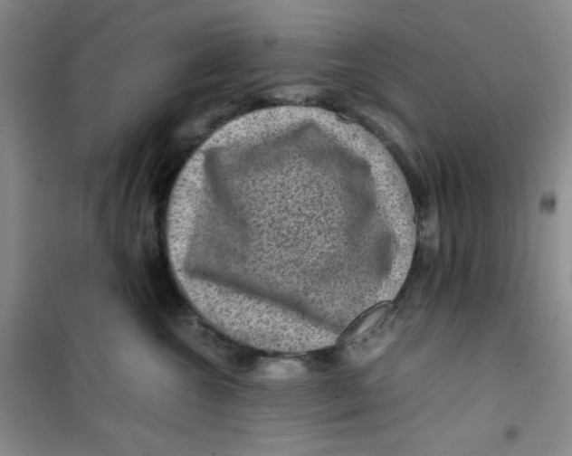 X0000100950572200807221124