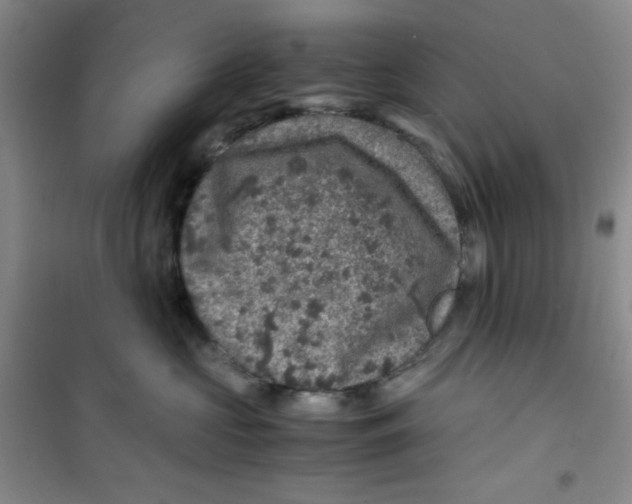 X0000100950573200807221124